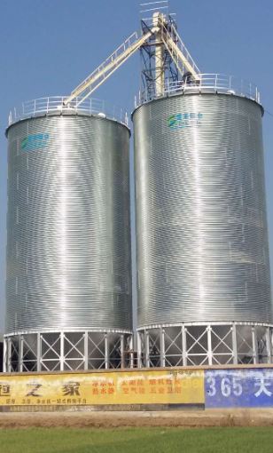 1000-ton-flat-bottom-silo