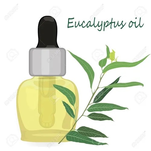 50-l-eucalyptus-oil
