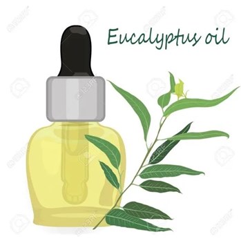 200-l-eucalyptus-oil