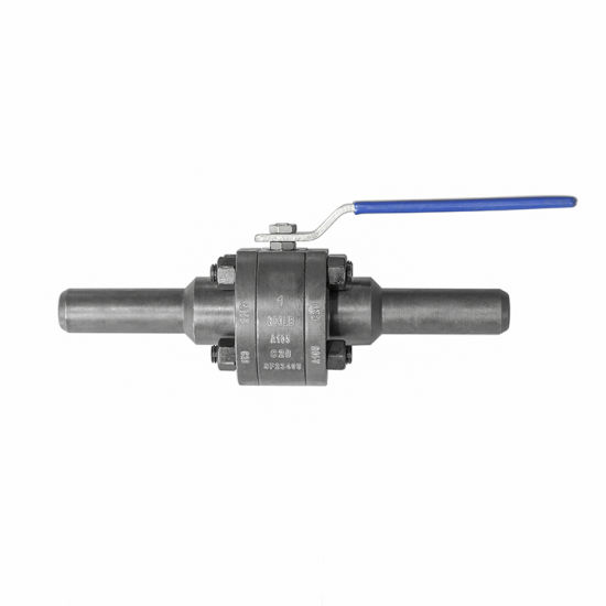 amtech-forged-c-s-a-105-ball-valve-with-welded-nipple-100-mm-long-800-20-mm-aisi-316