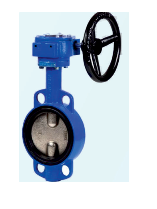butterfly-valve-with-gear-operated-c-i-disc-100-mm