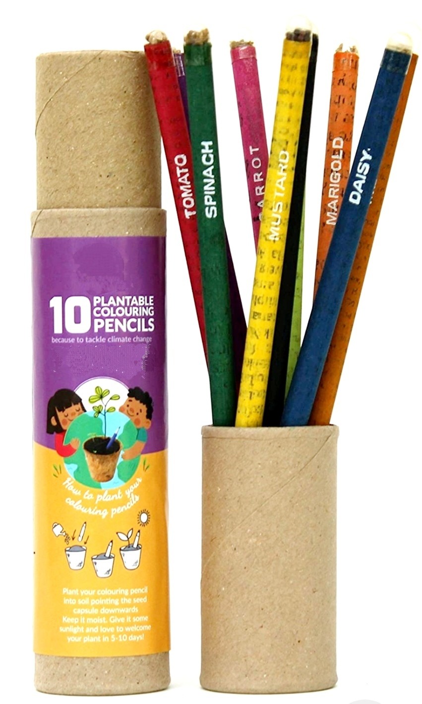 colour-pencil-pack-of-10
