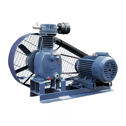 crompton-4000-2400-lph-1-hp-compressor-pump-sets-cp1-j400