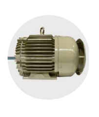 crompton-ginning-application-tefc-tb-on-rhs-from-de-3hp-4-pole-motors-ns100l