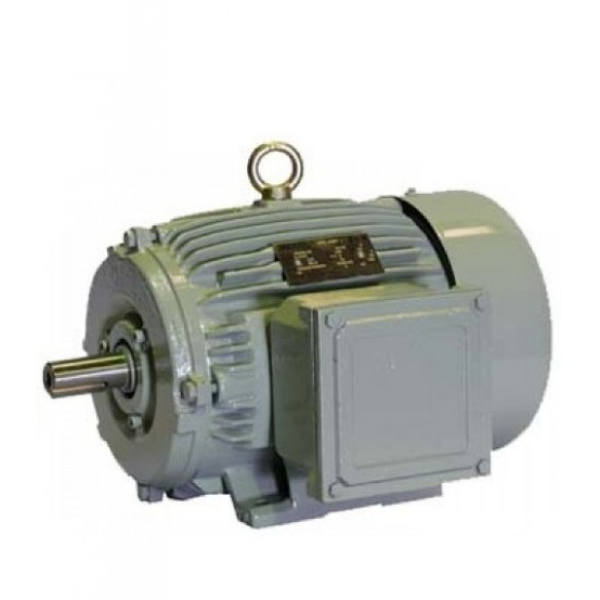 crompton-sheetal-series-1-phase-5-hp-4-pole-foot-mounted-induction-motor-gf7038