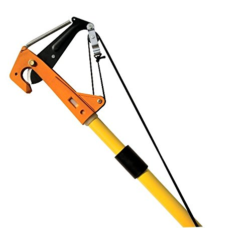 falcon-tree-pruner-without-pruning-saw-with-telescopic-handle-ftp-221