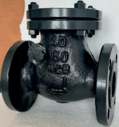 flange-end-swing-check-valve-65-mm