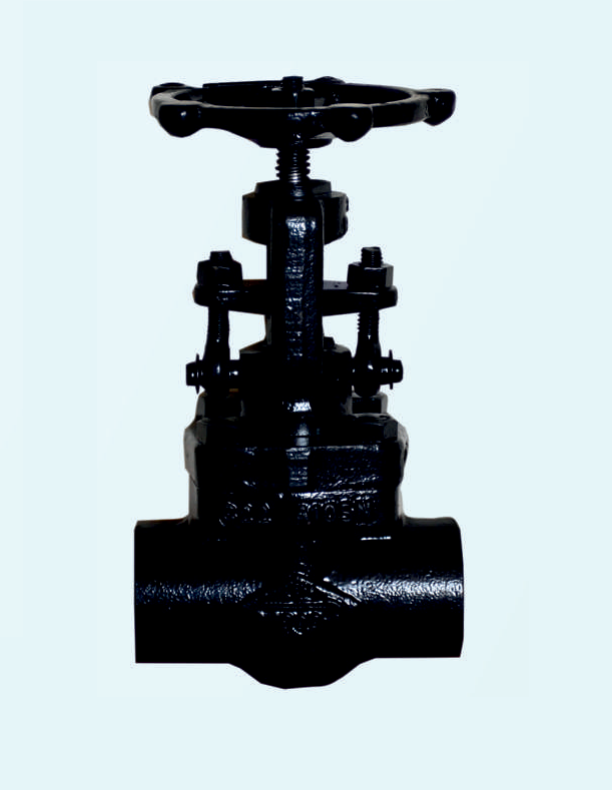 forged-globe-valve-class-800-wcb-20-mm