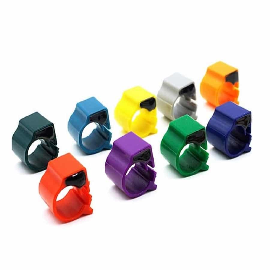 Buy Royal 10x Pigeon Rings Bird Chip Rings Identification Race Pigeons  Colorful Ring Online at Low Prices in India - Amazon.in