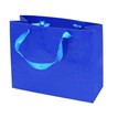 ilife-gift-bags-12-pcs-paper-gift-bags-blue