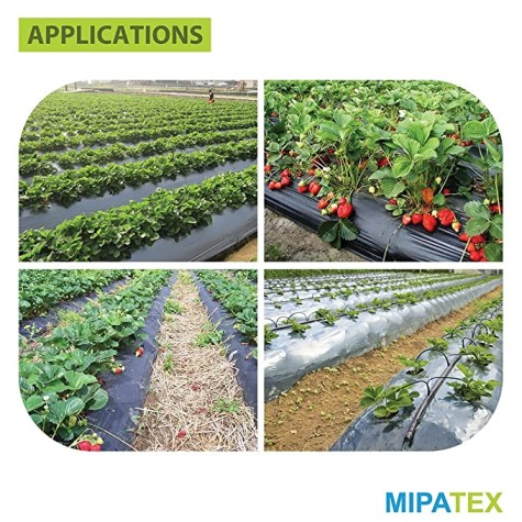 mipatex-30-micron-virgin-mulching-sheet-paper-for-agriculture-4ft-x-100m-outdoor-garden-mulch-film-weed-control-sheet