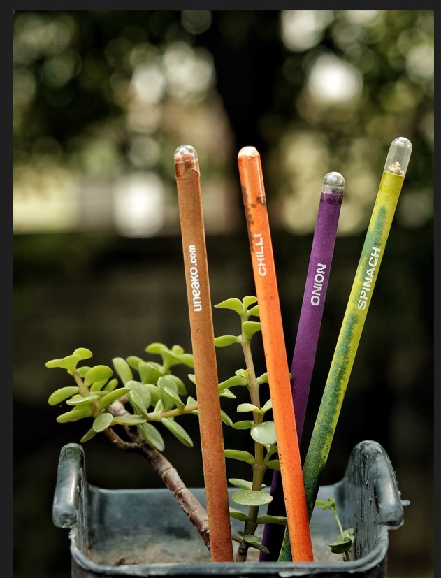 plantable-pencils