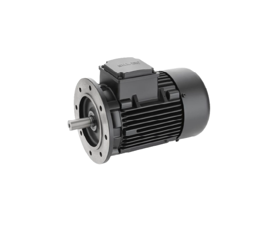 silver-0-5-hp-4-pole-foot-cum-face-mounted-3-phase-induction-motor-ie2-sem210-02p3f-ftc