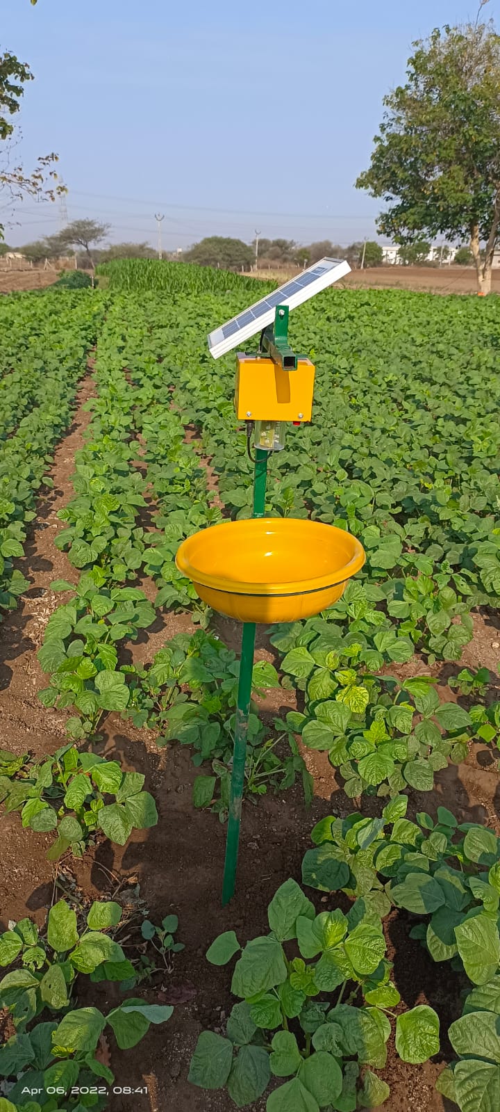solar-insect-light-trap