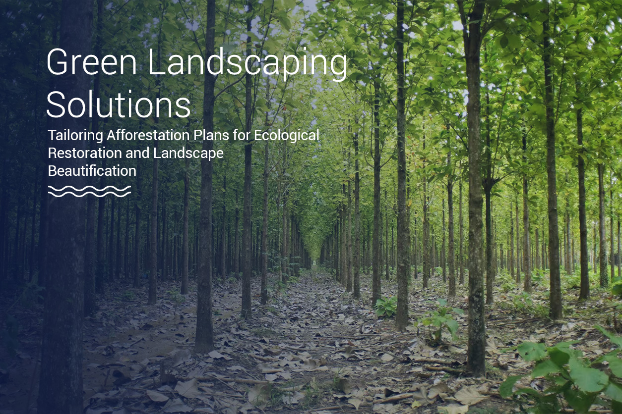 afforestation-plan-preparation