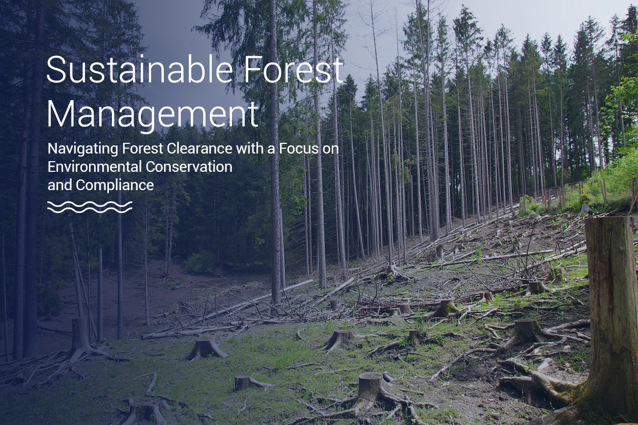 forest-clearance