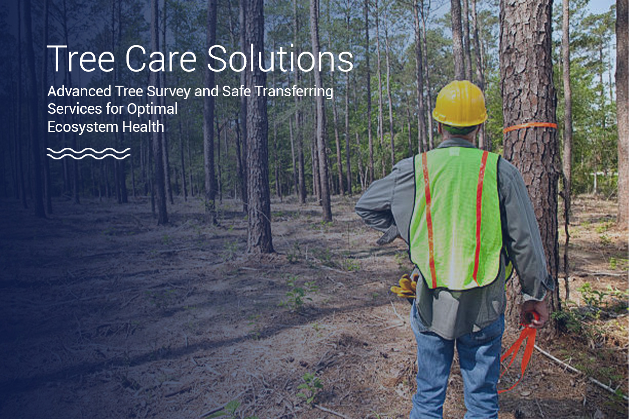 tree-survey-and-transferring-service